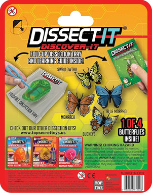 Dissect It | Butterfly Chrysalis - Johnson and Co. General Store