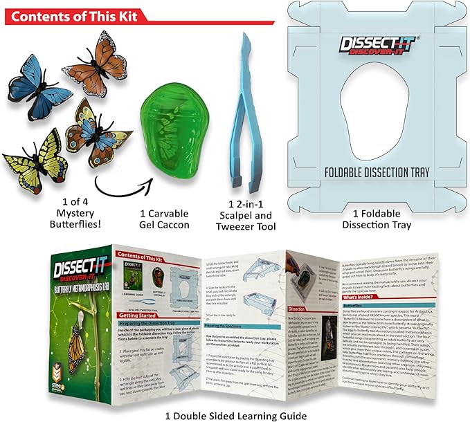 Dissect It | Butterfly Chrysalis - Johnson and Co. General Store