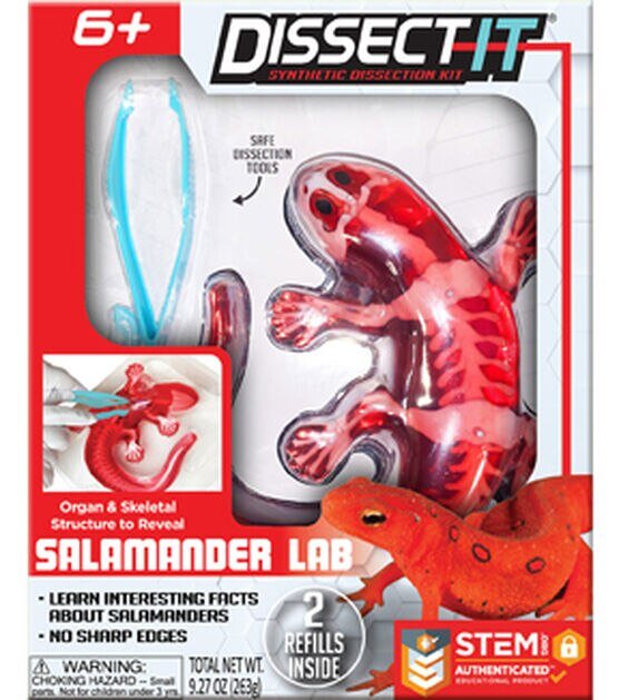 Dissect It | Salamander Lab - Johnson and Co. General Store