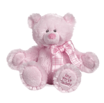 My First Teddy - Pink - Johnson and Co. General Store