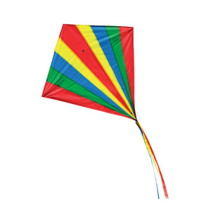 Spectrum Diamond Kite - Johnson and Co. General Store